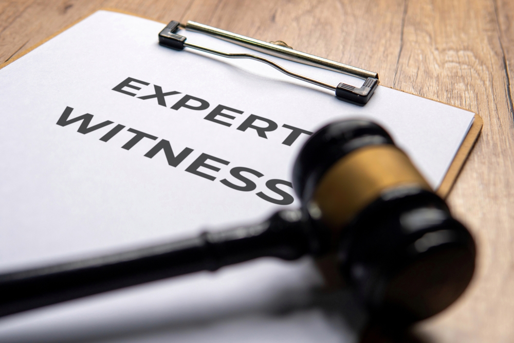Expert Witnesses